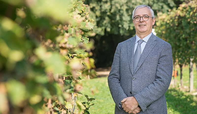 The winery’s technical director: Filippo Pedron (photo)